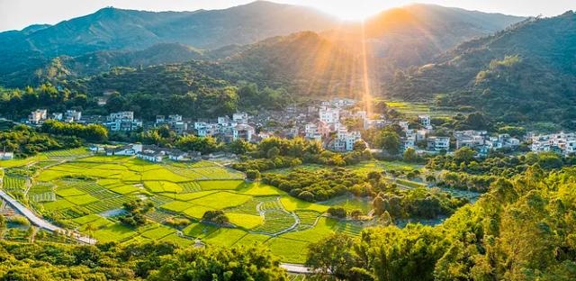 生肖蛇怕哪个生肖，十二生肖蛇最怕什么动物