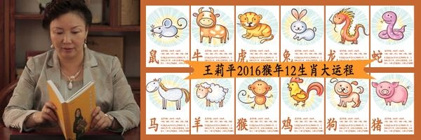 013年属蛇9月出生好，2013年属蛇命里缺什么取什么"
