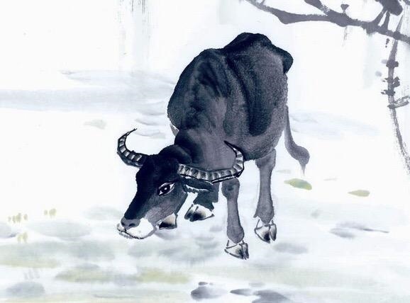 6年属虎的财位在哪个方向，86年属虎的适合挂什么画"