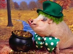 属猪女性2022年运势,2022年属羊人的全年运势女性