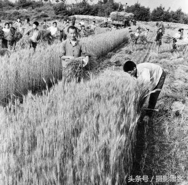 七十多岁属虎是哪一年的，属虎哪一年犯太岁