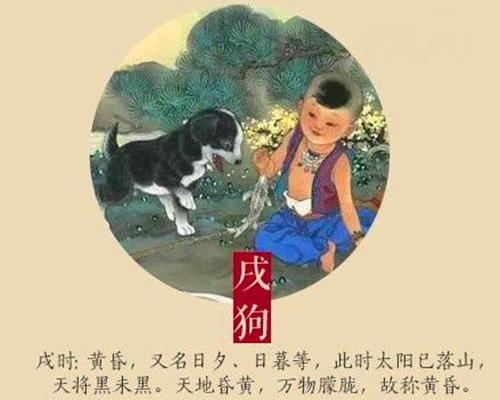 属相排序十二生肖，十二生肖顺序属相配对