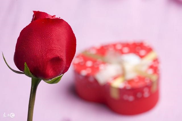 最会利用男人的生肖女,属牛男离不开什么生肖女