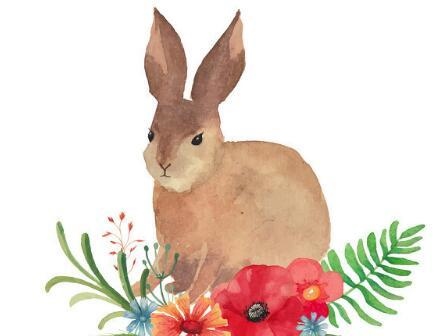 属兔人11月运势，2022 年属兔子11月份运气