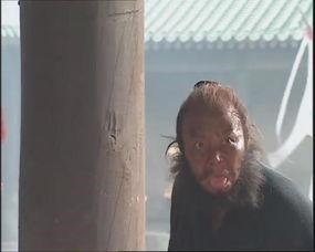 蛇和虎相害是谁受害，为什么属虎人最怕属蛇人