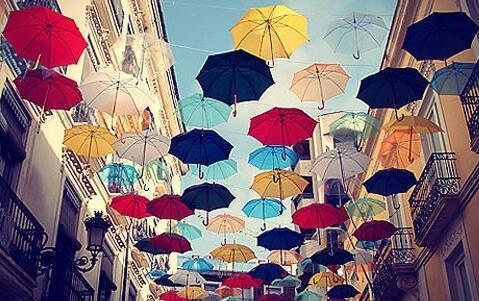 977属蛇2022年每月运势,2022