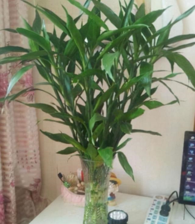 属蛇人家中摆什么好，属蛇人更大靠山是谁