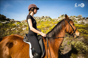 2岁属马更佳配偶,属马的找属什么的对象合适"