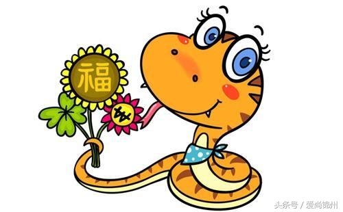 出灵属蛇的相冲，属蛇相冲相害