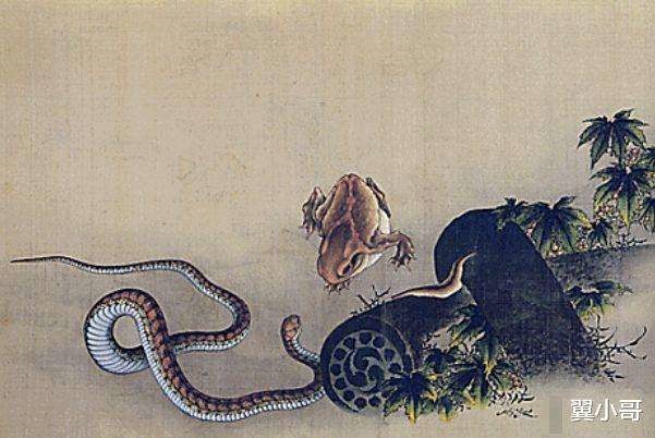 属蛇吉利数字组合大全,1977属蛇人的吉利数字