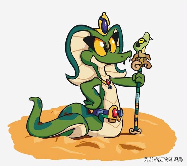 蛇和蛇在一起好吗，千万别娶属蛇的女人