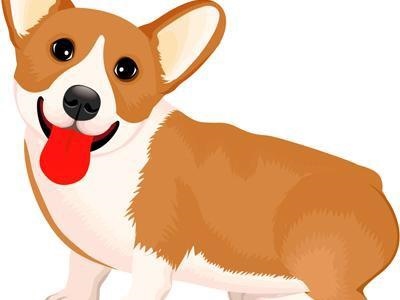 6年属虎的财位在哪个方向，86年属虎的适合挂什么画"