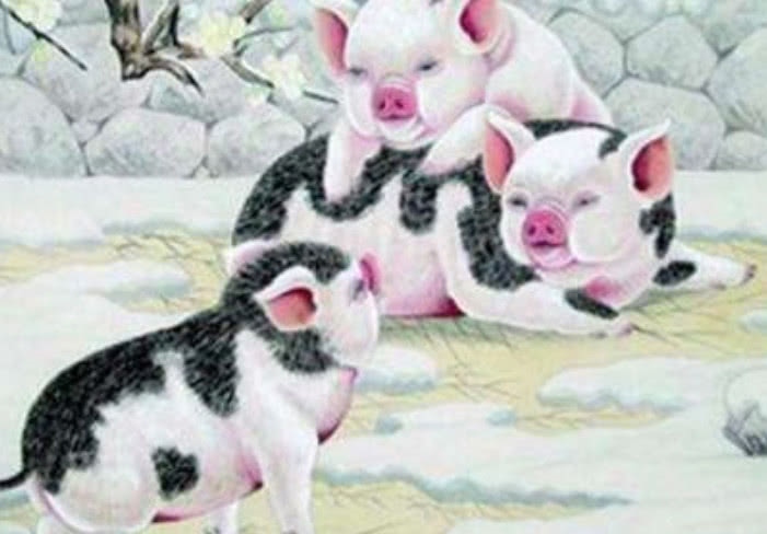 5年属蛇的人晚年命运,属蛇1977年四十以后命"