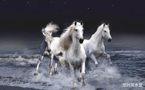 022年19岁属什么，2022年16岁属什么生肖"