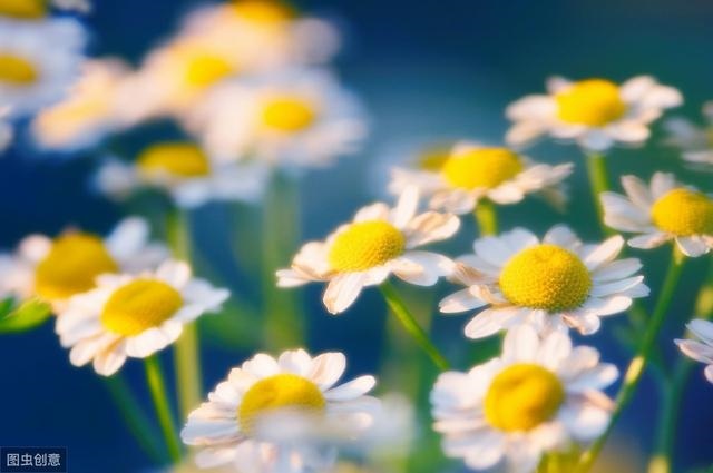 属蛇人2022年冬月运势，猪年对属蛇的人好不好