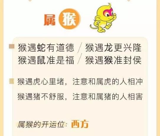 生肖猴一辈子贵人是谁，属猪的贵人是什么属相