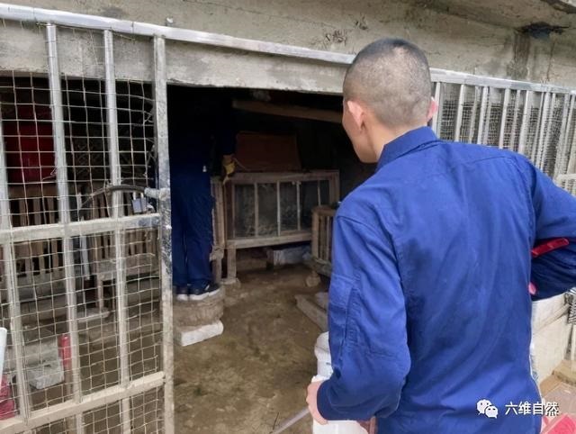 小兔子被蛇做到哭，当一只兔子救了一条蛇