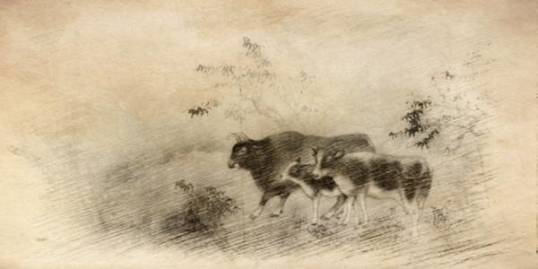 牛年亥时出生缺什么五行,亥时是几点到几点钟