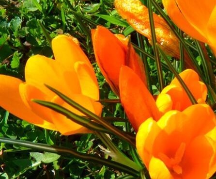 属猴人哪天出生更好命，属猴几点生的孩子命更好