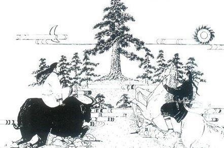 十二生肖的相克，十二生肖相生相克图表