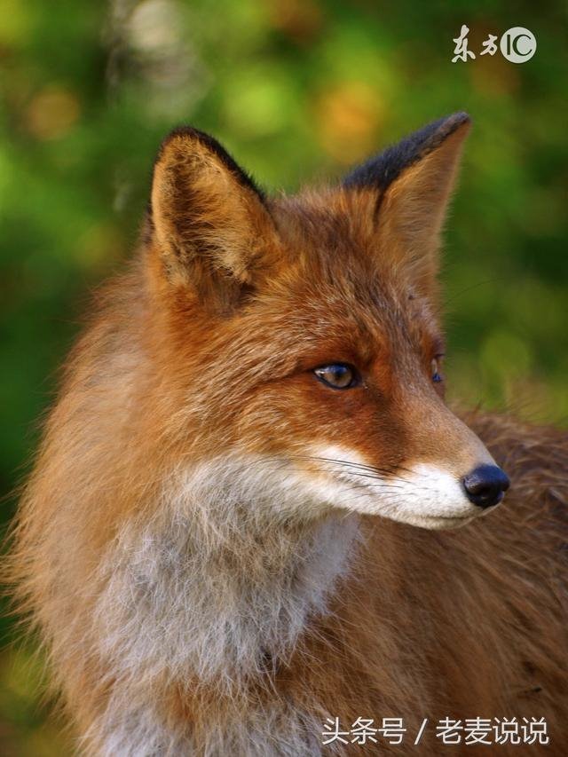 什么样的八字肯定 的，什么样的人会