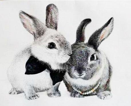 属鸡男羊女一生纠缠，男人心疼生肖羊女