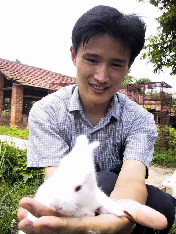 9年女兔更佳配偶属相,生肖属兔的人哪几个年份感情更好"