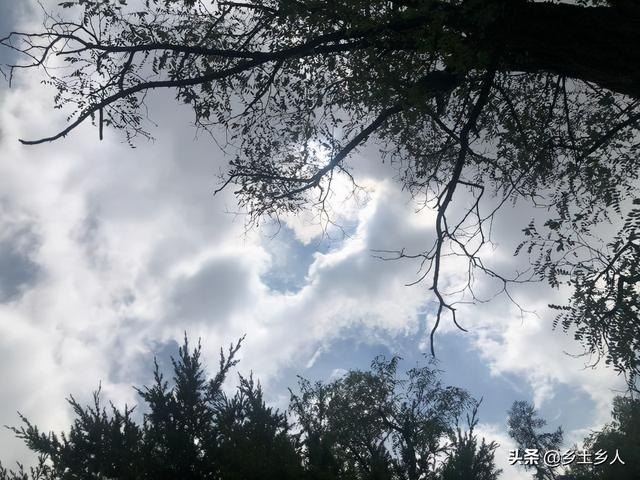 属蛇不宜去的方位，属蛇人适合的方向