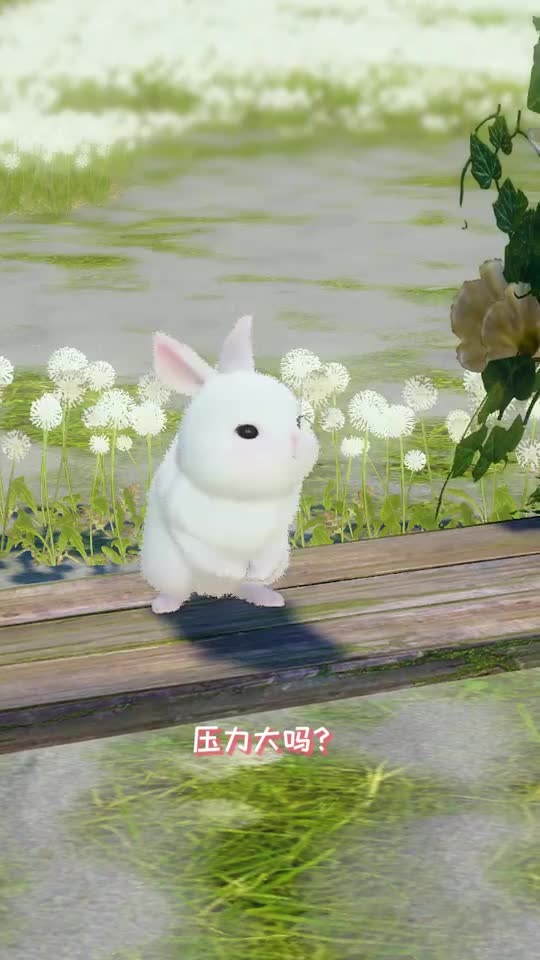 小白兔与大灰狼，小兔子和大灰狼梵露