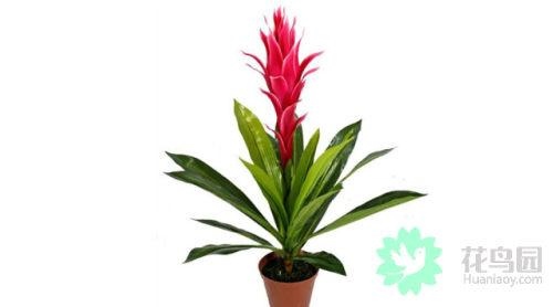 属蛇人风水更好的头像，蛇最招财的微信 名