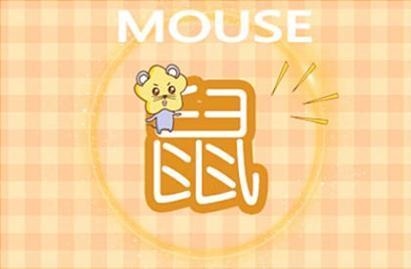 属鼠的和什么属相不合，属鼠的和什么属相合更好