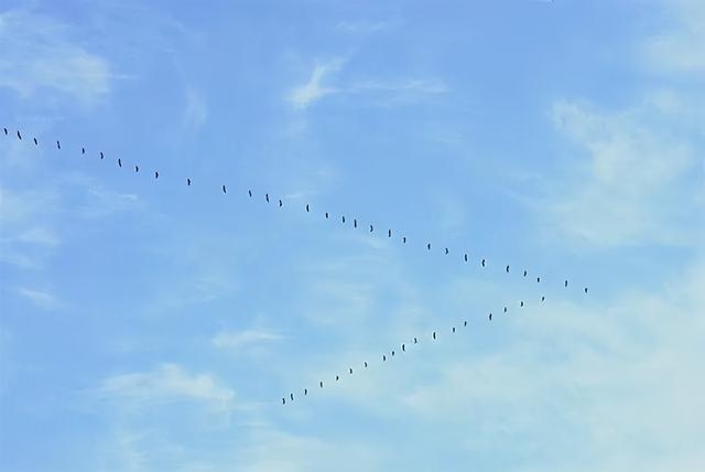 算两个人有没有姻缘，免费算两人的姻缘