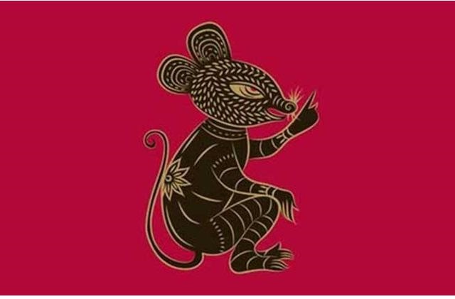 生肖鼠一生的贵人是谁,72年生肖鼠50岁后命运