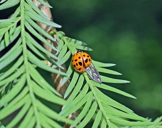几月出生的蛇从小苦到老，2001年的4月蛇命苦吗