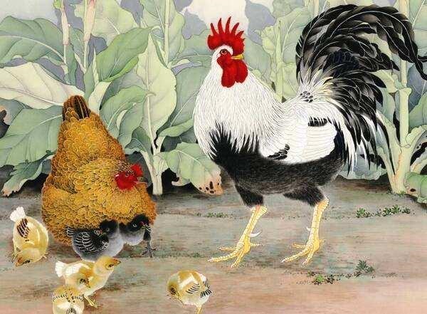 属鸡男羊女一生纠缠，男人心疼生肖羊女