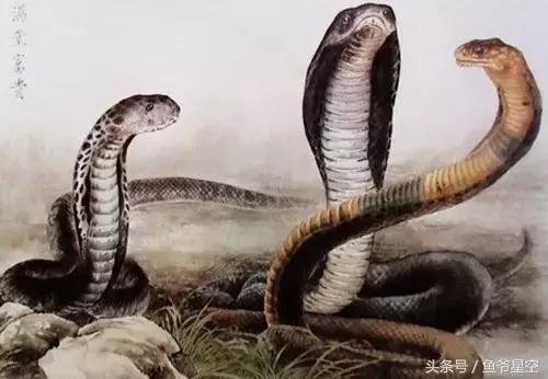 农历9月的蛇女，农历9月13日是什么星座