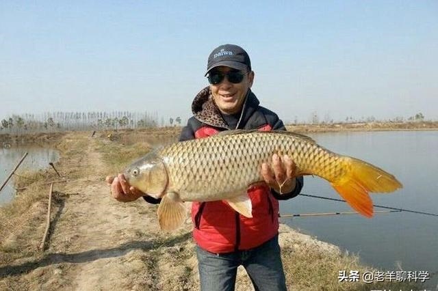 虎和龙在一起对谁不利，属虎和属龙的夫妻结局