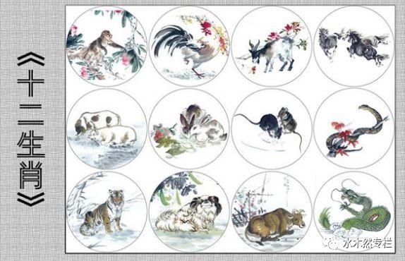 属相马和属相蛇，属蛇和属马的姻缘怎样