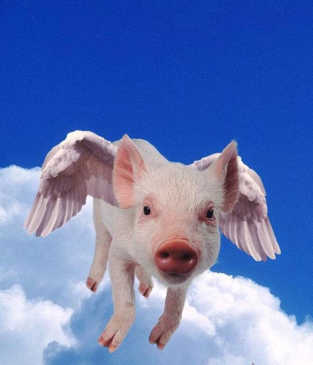 十二生肖中蛇天敌是谁，十二生肖配对蛇的克星