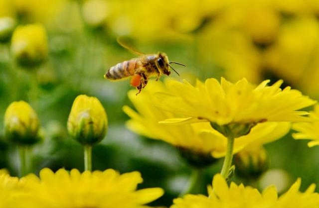 农历八月蛇男性格，蛇几月出生最苦命