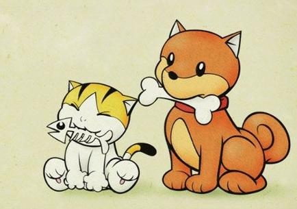 属蛇的人为什么会绝情，属蛇的女人都很厉害吗