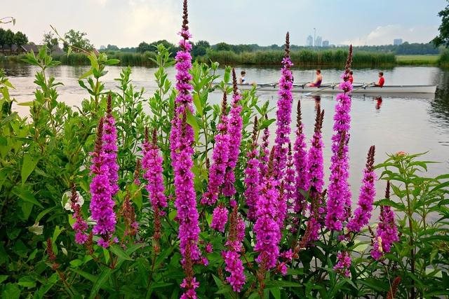 022年什么星座运势更好，2022年度星座运势"