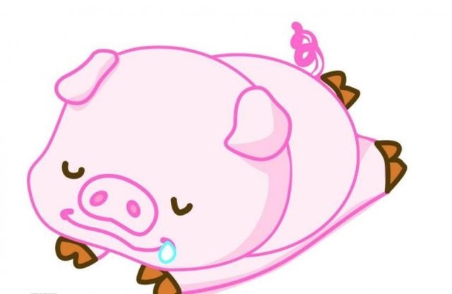 属猪人2022运势运程，属猪人19年12月运势