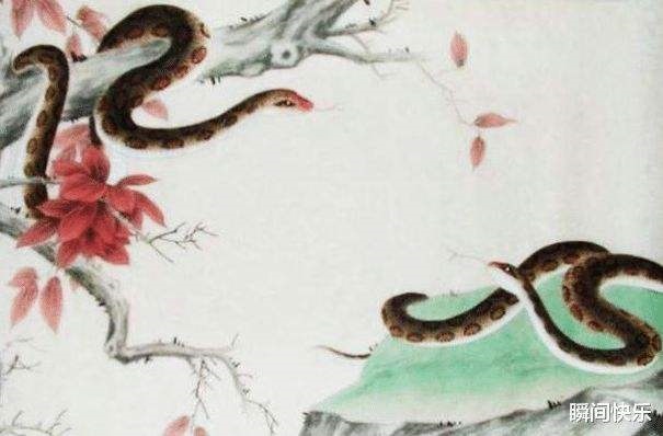 1属蛇的注定婚姻，2000属龙的属相婚配表"