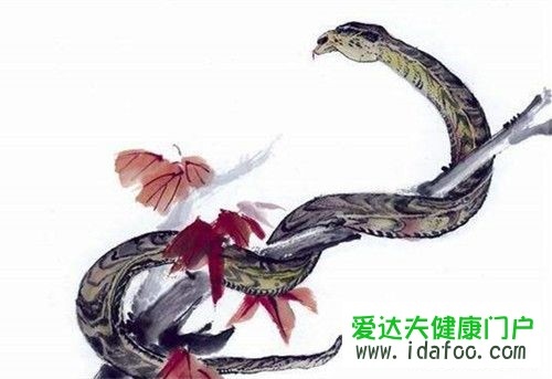 属蛇人十一月份运势如何，2022 年11月属蛇人的运势