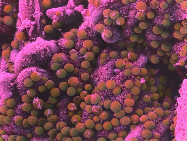 999兔和2001蛇好不好，99年男兔跟01年蛇配吗"