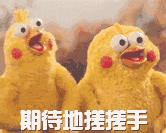 双子座适合佩戴什么饰品，双子座适合养什么宠物