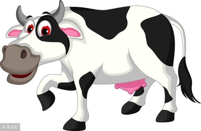 月属牛的命运如何,2022