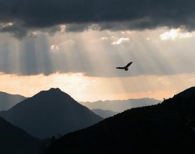 979年二月初六羊是什么命，79年农历二月初六羊命运"