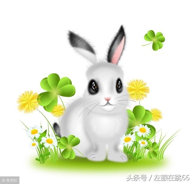 属兔男和属什么的最合适结婚，属兔男和什么生肖女最配